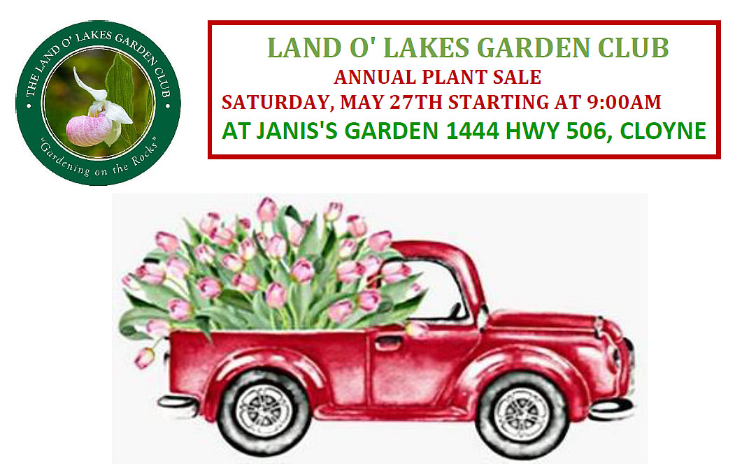 Land O’ Lakes Garden Club Annual Plant Sale – Saturday May 27
